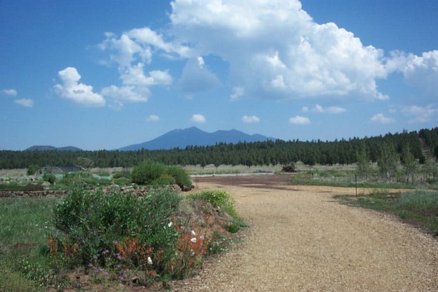 The Arboretum at Flagstaff