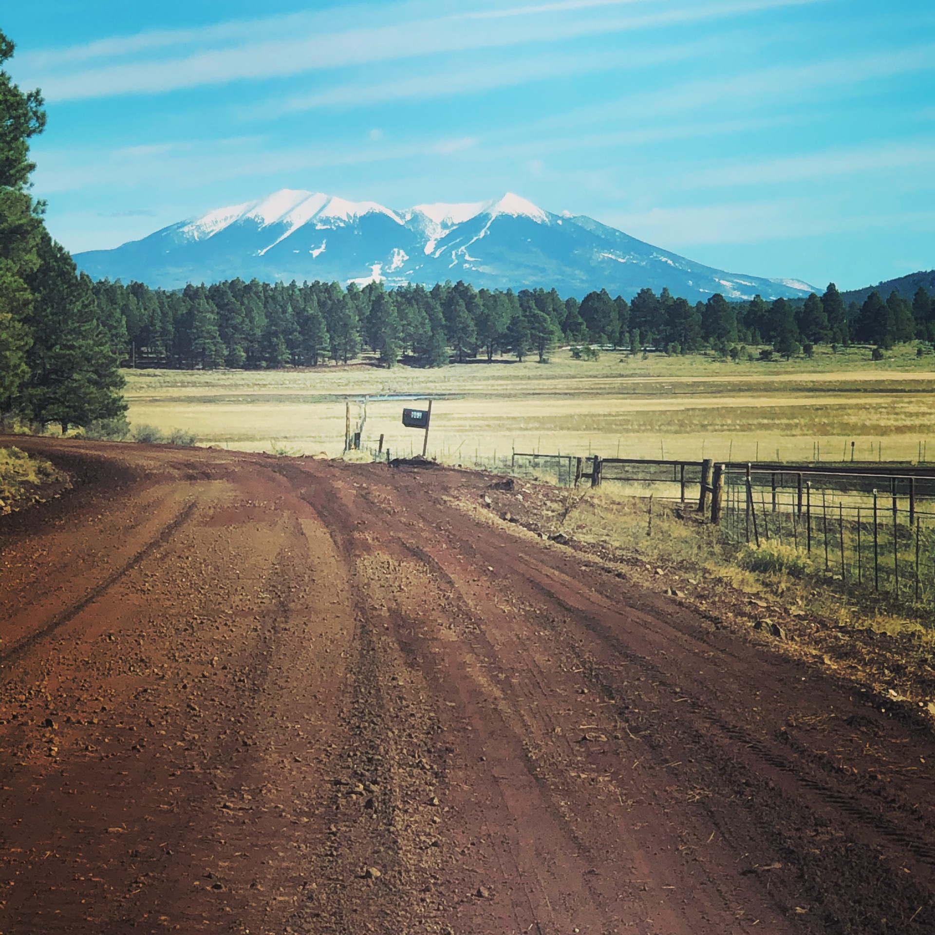 Red dirt road to San Francisco Peaks
